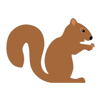 SquirrellyJS Syntax logo