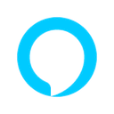 Alexa Skills logo